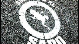 SAPO - CAMPAÑA SALVEN