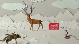 CIERVO - CAMPAÑA DECISIONES