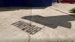 BRANDED SHADOWS