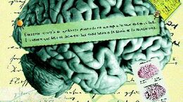 EINSTEIN - CAMPAÑA PIERO