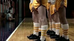 GIMNASIO, PAJARITO Y MODELO