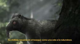 CAMPAÑA WE WANT FUR 2