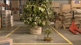 CAMPAÑA PLANTA 1