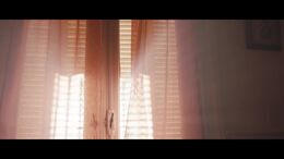 SIESTA