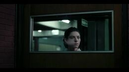 BOLSIRAPTOR