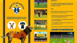 PERROS HINCHAS