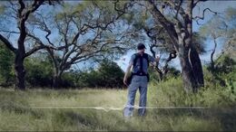 ECOALARM