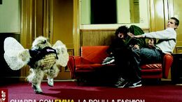 EMMA 5 - CAMPAÑA LA POLILLA FASHION