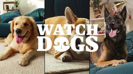 WATCH DOGS