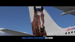 CÓRDOBA X JS