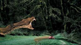 VIBORA - CAMPAÑA NEW BEETLE