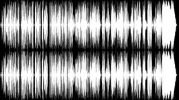 PIOJOS / EMPAREDADO / CHICHO / COTORRA / HOMBRE ARAÑA