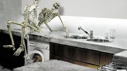 COCINA - CAMPAÑA ESQUELETOS