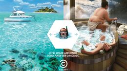 AVESTRUZ / SNORKEL - COMEDY CENTRAL