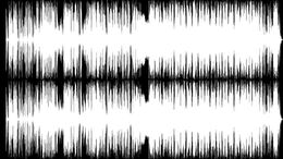 TURNING HATE INTO SONGS / AGAPORNIS