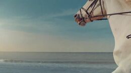 MALTA JUSTA - 