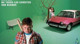 GORDO - CAMPAÑA LAS COSAS COMO SON