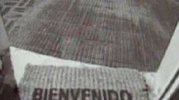 BIENVENIDO