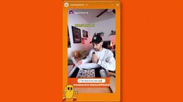 VIDEO CASO - MANÍ LORD OF THE KING