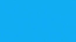 VUELOS DE LA VERGÜENZA