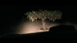 CAMPAÑA LOS VINOS DE PANCHO 4