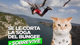 LAS SIETE VIDAS DE UN GATO - CAMPAÑA LAS 7