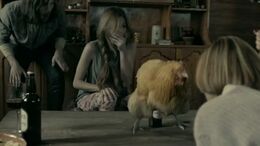 GALLINA