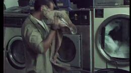 LAVANDERIA - CAMPAÑA MTV LOS DIEZ MÁS PEDIDOS