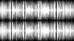 BOLU / ASALTO / GALLEGO / CORNUDO / TROLO