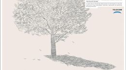 ARBOL - CAMPAÑA PALABRAS