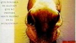 BURRO