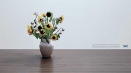 LATA / RELOJ / GIRASOLES