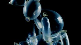 CONEJO - CAMPAÑA GLOBOLOGIA