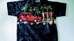 SURFER 2 - CAMPAÑA CAMISAS
