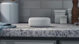 ALEXA\\'S DAY OFF