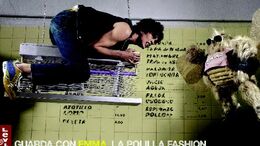 EMMA 8 - CAMPAÑA LA POLILLA FASHION