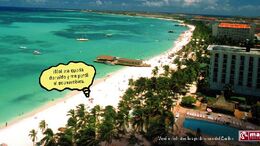 DORMIDO - CAMPAÑA CARIBE