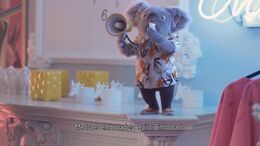 KOALA DEL VALLE 