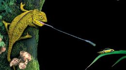 CAMALEON - CAMPAÑA NEW BEETLE