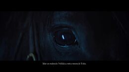 CABALLO