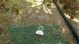 TRAMPAS / CARTERA