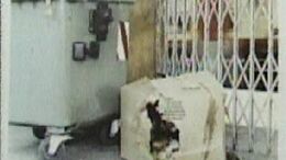 CAJA 1