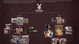 AXE PLAYBOY