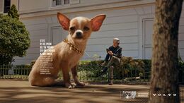 EL PELIGRO CRECIENTE