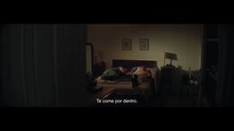 LAS OTRAS PLAGAS