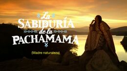 TWISTER LA SABIDURÍA DE LA PACHAMAMA