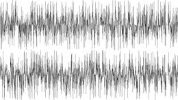 CONCENTRACION ARGENTINA