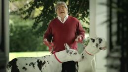 PERRO - CAMPAÑA MANTENGAMOS LA FAMILIA UNIDA