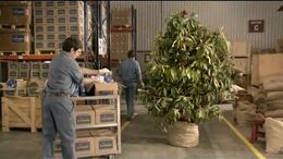 CAMPAÑA PLANTA 5