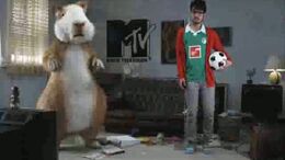 MTV - SPOOKY, SHTO, CHOBI